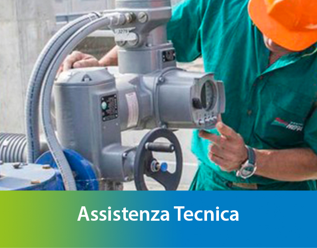 anteprima